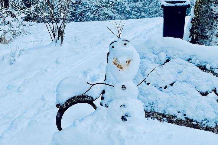 Ferienhaus für 4 Personen, mit Balkon, mit Haustier in Klingenthal - 3