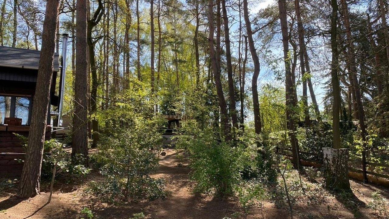 Ferienhaus für 4 Personen (60 m²) in Wittingen in Wittingen, Landkreis Gifhorn