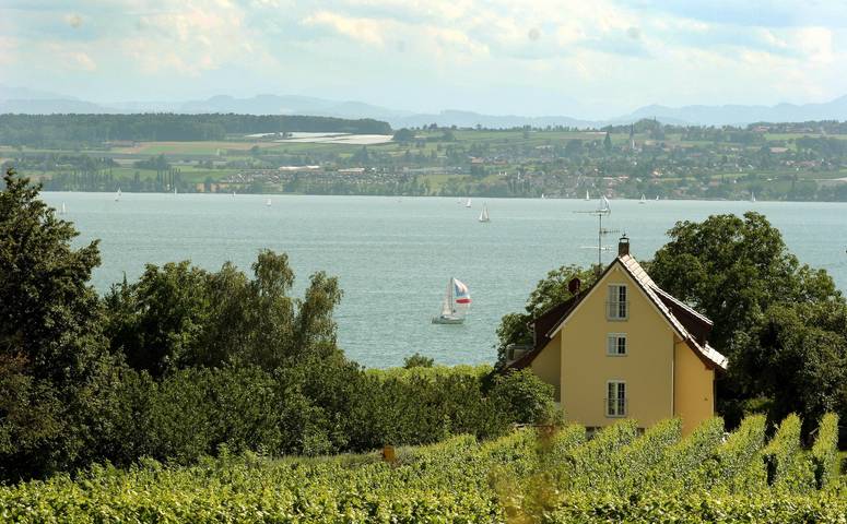 Hel lejlighed, Apartment 2 with Terrace in Stetten, Region Bodensee-Oberschwaben