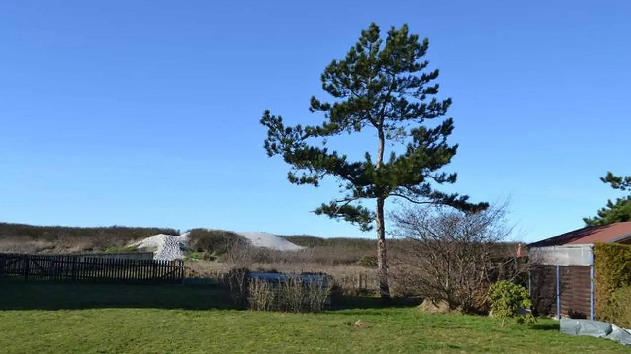 Ferienhaus für 2 Personen (18 m²) in Insel Hiddensee in Hiddensee, Vorpommern-Rügen