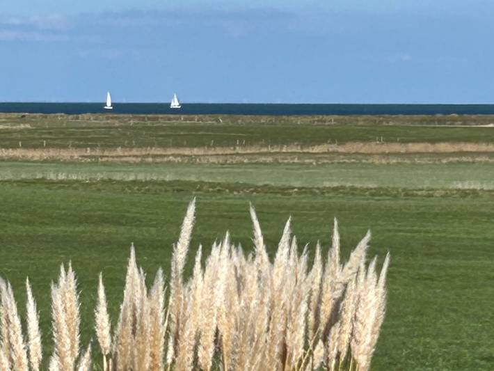 Ferienhaus für 4 Personen, mit Sauna und Terrasse sowie Garten und Ausblick, kinderfreundlich in Kappeln & Umgebung - 2
