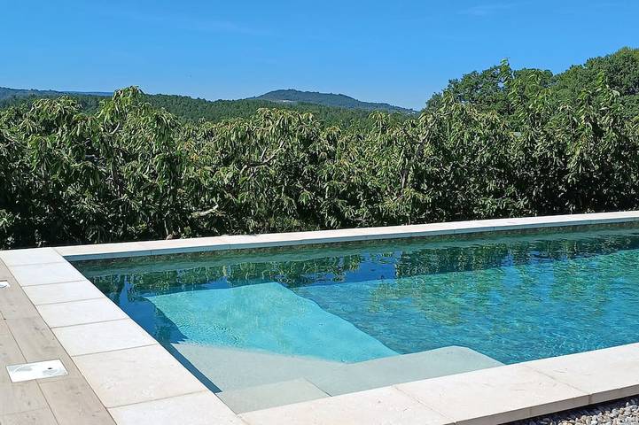 Maison de vacances pour 5 personnes, avec piscine et jardin - 1