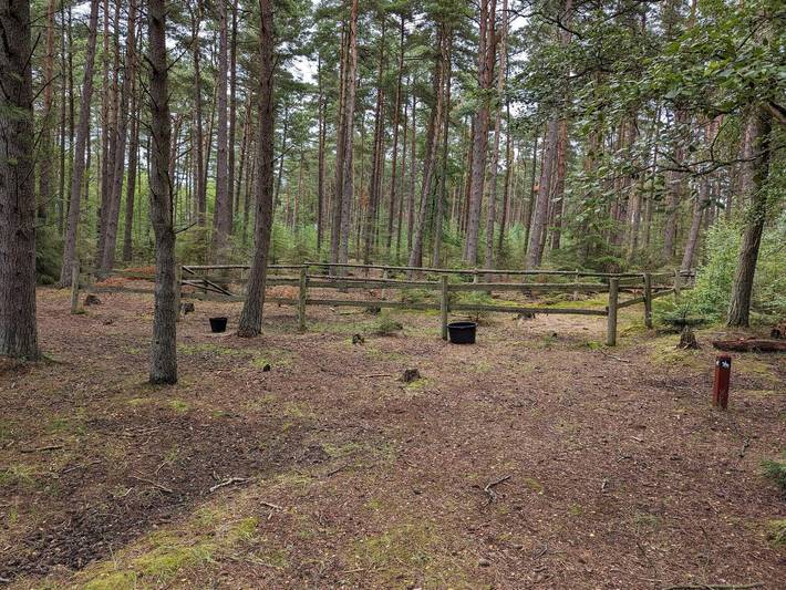 Ferienhaus für 6 Personen, mit Terrasse und Sauna, mit Haustier auf Læsø - 2