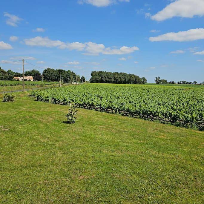 Appartement entier, Chez Pascal Sissi -Au Coeur de Vignes, parking free in Château-Thébaud, Région de Nantes