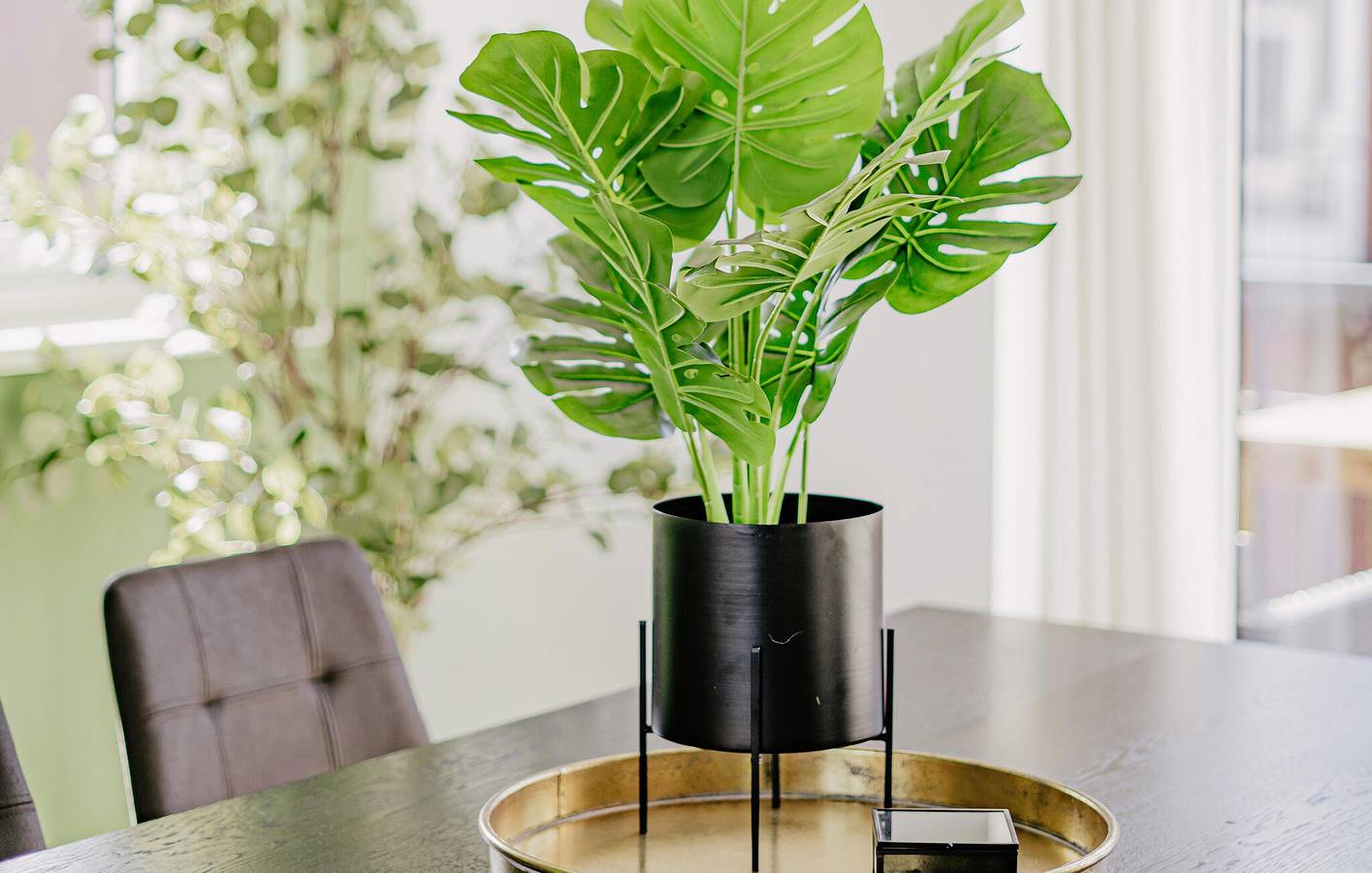 Ferienhaus für 4 Personen mit Terrasse in Uitgeest, Noord-Holland - Nordseeküste