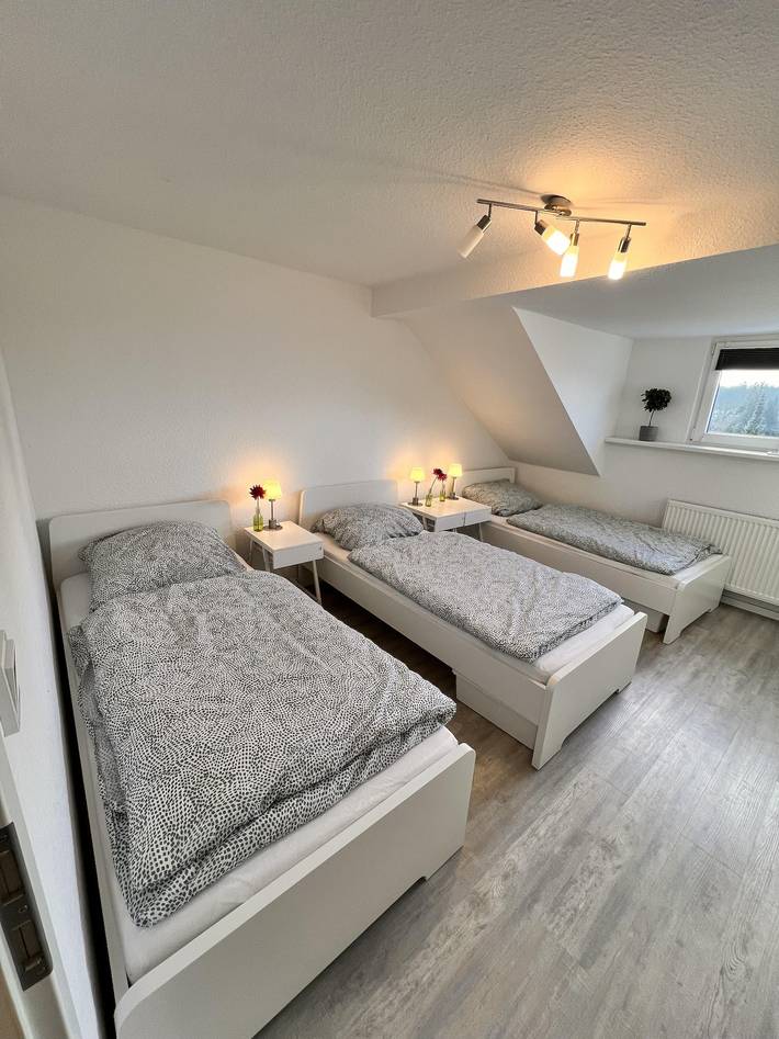 Ganze Ferienwohnung, Appartement/Fewo, Bad, Wc in Lich, Landkreis Gießen