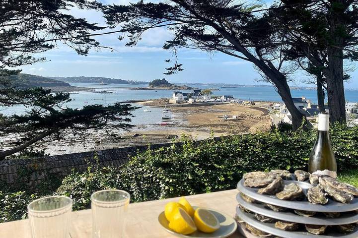 Location de vacances pour 7 personnes, avec terrasse dans Térénez