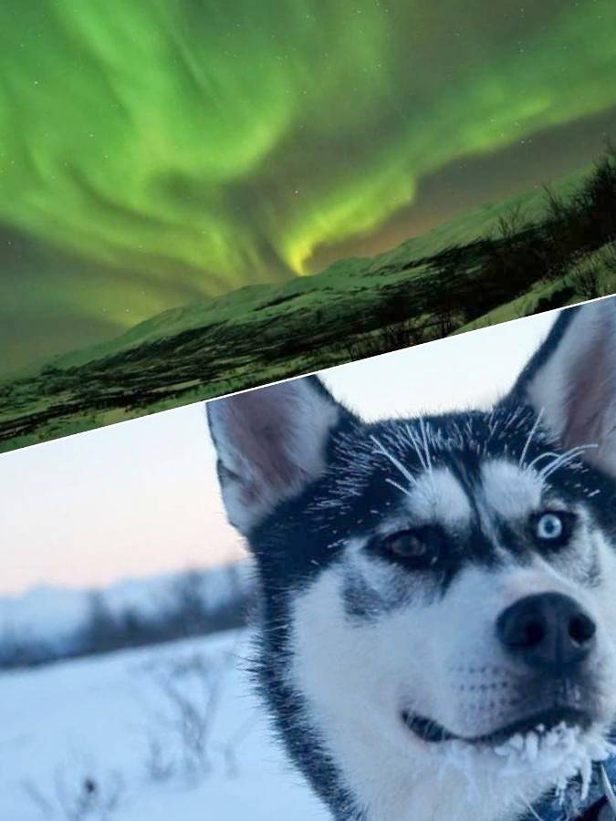 Location de vacances pour 3 personnes, avec vue ainsi que terrasse et sauna à Abisko - 4