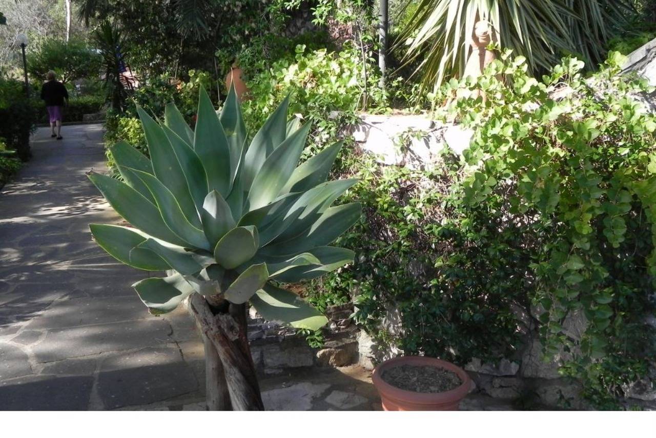 Ganze Ferienwohnung, Ferienwohnung für 4 Personen mit Garten in Madonna delle Grazie, Capoliveri