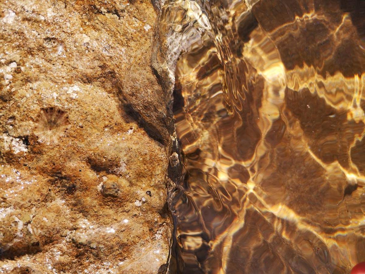 Village Camping Fico D'India in Isola di Capo Rizzuto, Provincia di Crotone