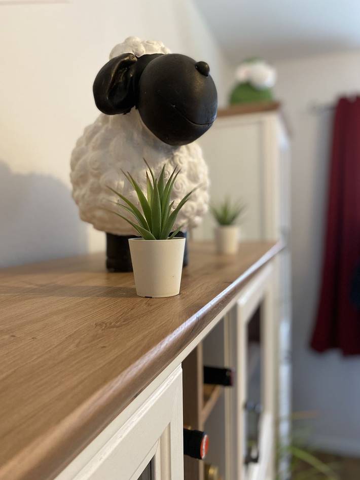 Ferienhaus für 6 Personen, mit Whirlpool und Sauna sowie Garten in Rysum - 3