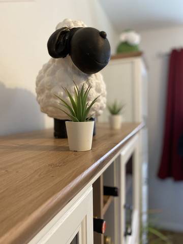 Ferienhaus für 6 Personen in Rysum, Krummhörn, Bild 2