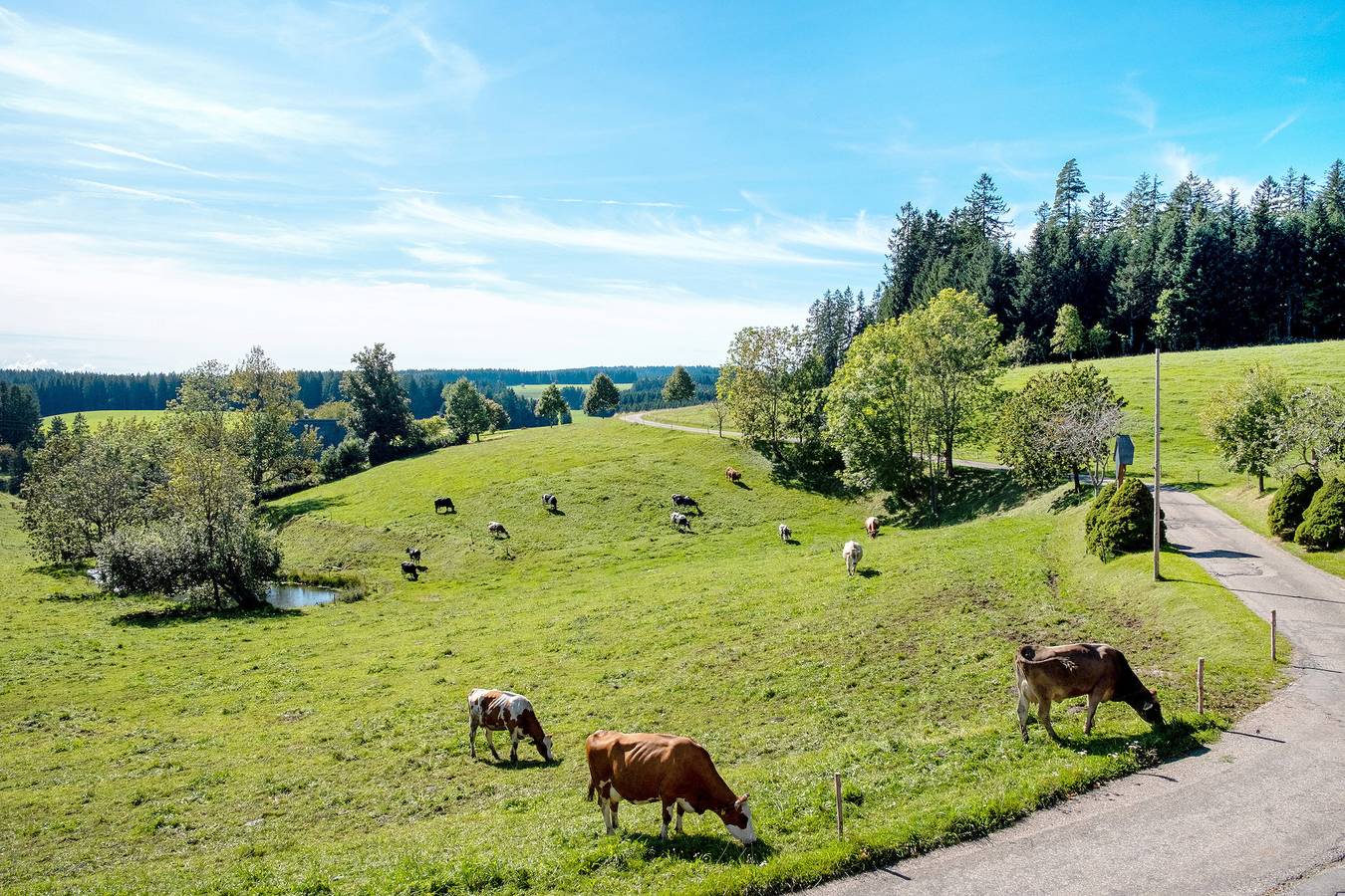 Ganze Wohnung, Ferienwohnung 'Feldbergblick' mit Bergblick, Gemeinschaftsgarten und Wlan in Furtwangen, Südschwarzwald