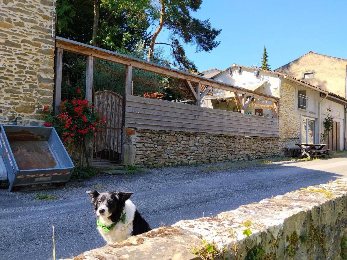 Relaxing Gite aux fil de l'eau in Sainte-Colombe-sur-l'Hers, Région de Limoux