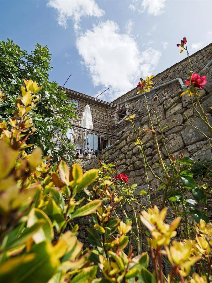 Location de vacances pour 9 personnes, avec piscine ainsi que vue et jardin à Gras - 3