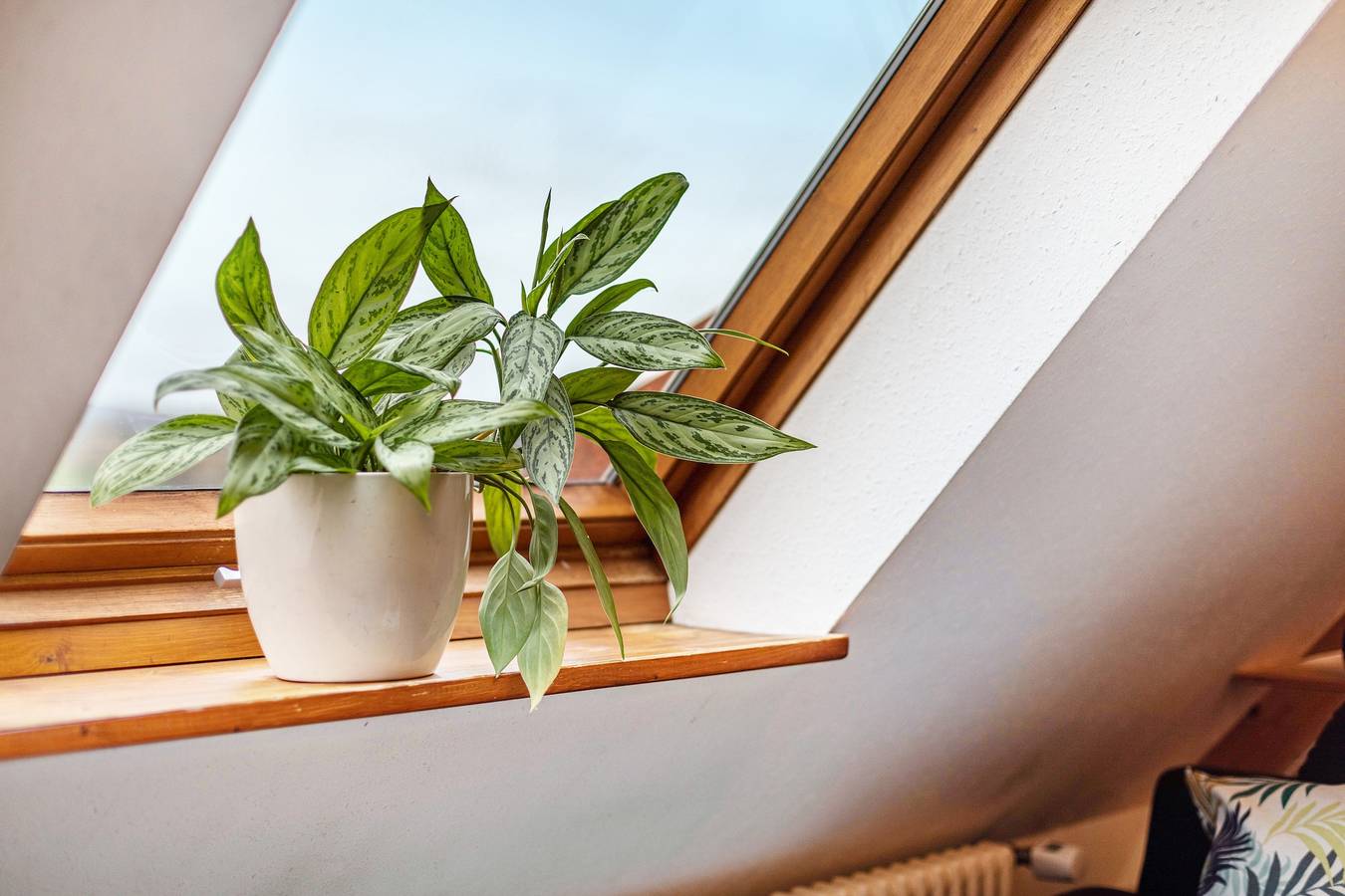 Ganze Wohnung, Ferienwohnung '2' mit Gemeinschaftsgarten und Wi-Fi in Müllheim, Südschwarzwald