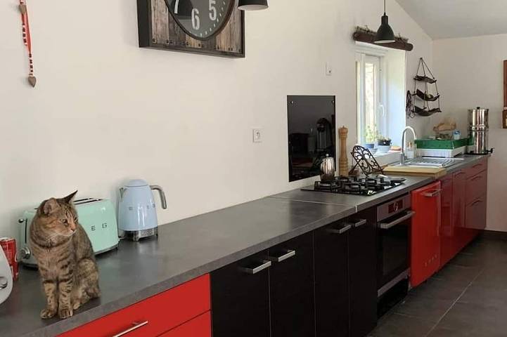 Chambre d’hôte pour 2 personnes, avec jardin et piscine à Hourtin - 3