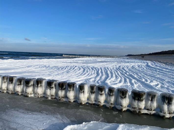 Ferienpark für 4 Personen, mit Pool und Garten, mit Haustier in Mecklenburg-Vorpommern