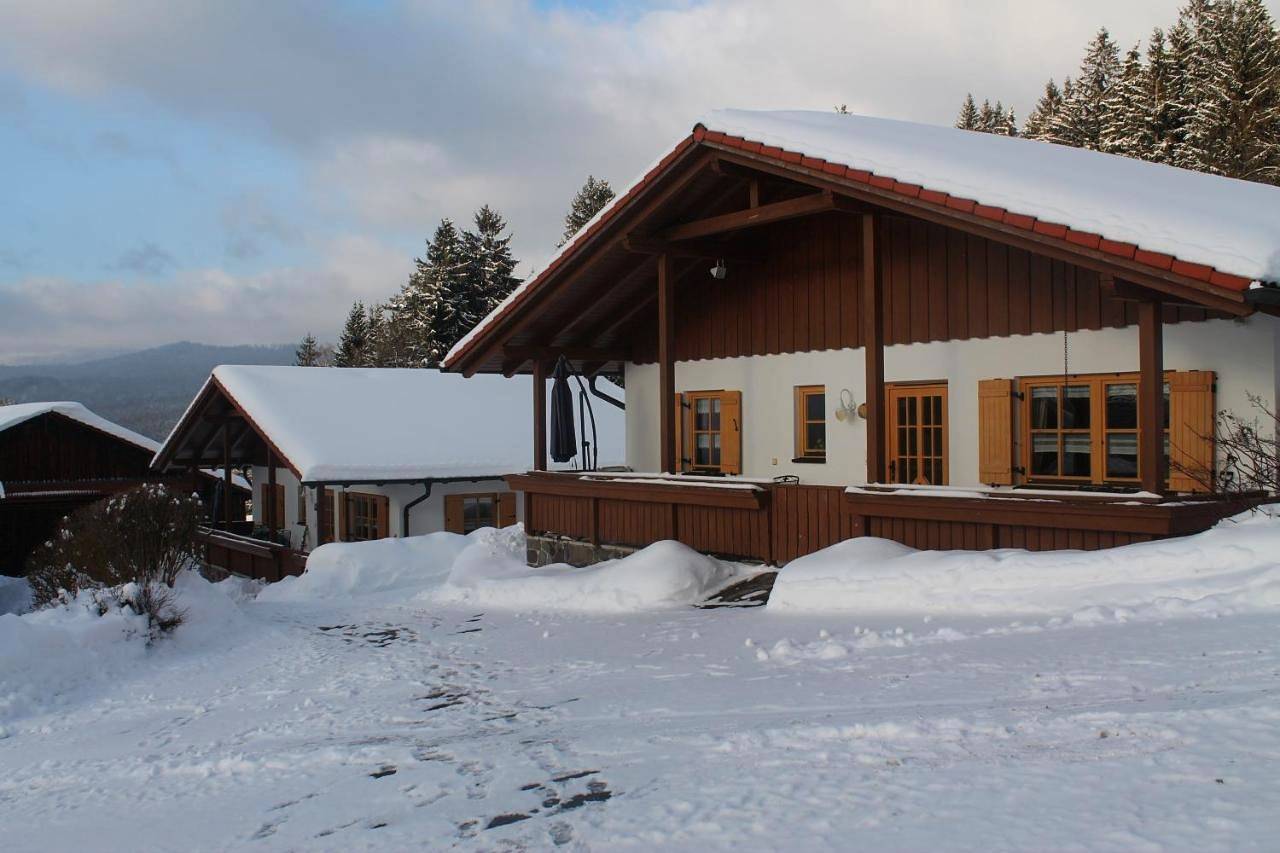 Apartment with Balcony in Zwiesel, Šumava Mountains