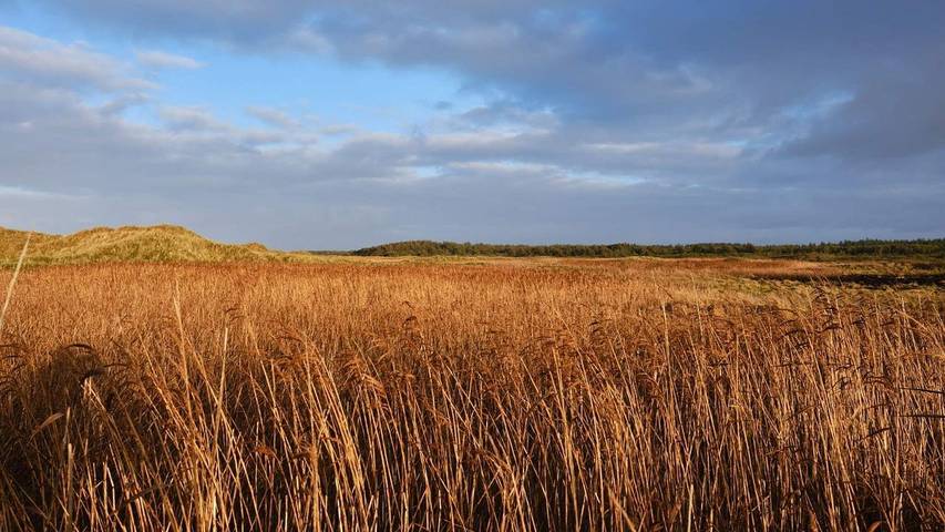Ferienhaus für 7 Personen, mit Sauna und Terrasse sowie Whirlpool, mit Haustier in Grønhøj Strand - 3