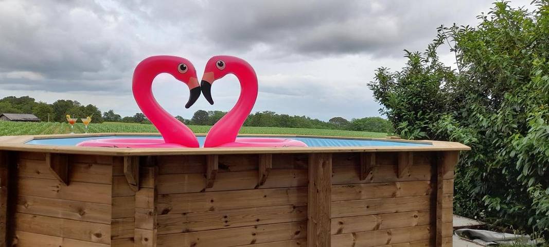Location de vacances pour 6 personnes, avec jardin ainsi que vue et piscine à Laurède - 2