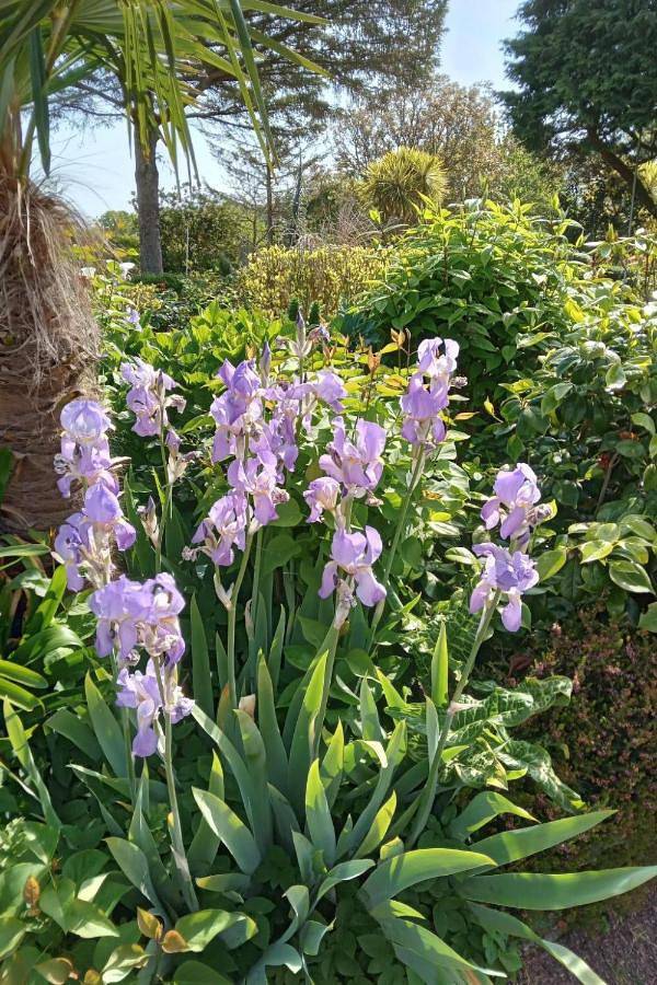 Location de vacances pour 5 personnes, avec jardin à Crasville - 2