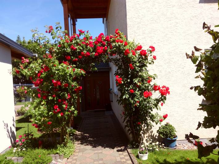 Ganze Ferienwohnung, Fewo 1 in Beverungen, Kreis Höxter