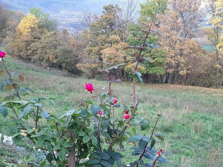 Gîte pour 4 personnes, avec terrasse et vue à Manteyer - 2