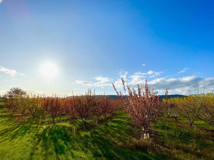 Gîte pour 4 personnes, avec piscine et jardin à Charmes-sur-Rhône - 4