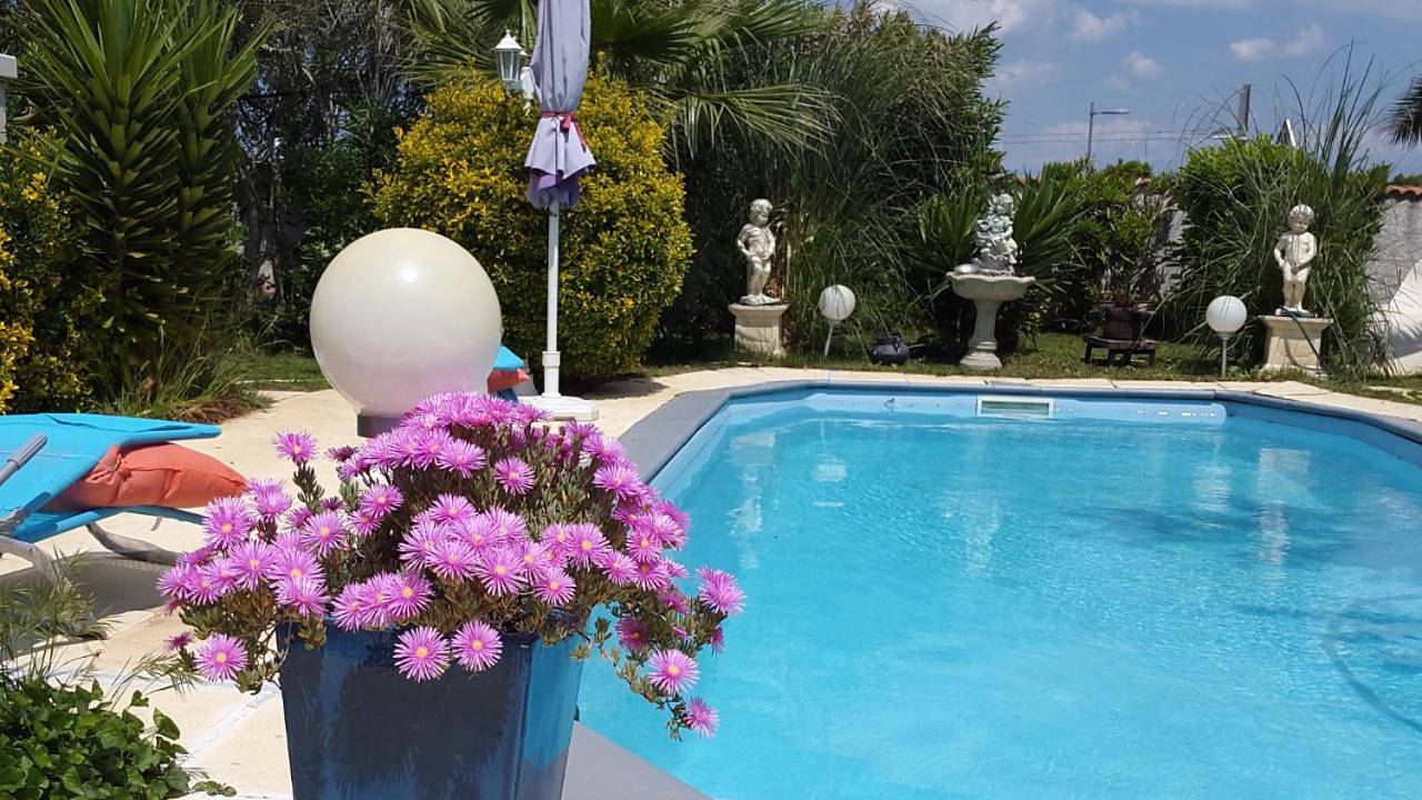 Suite-Junior -Villa Hélène - Montpellier Sud - aéroport- Piscine Privée-2mn des plages in Pérols, Côte méditerranéenne (France)