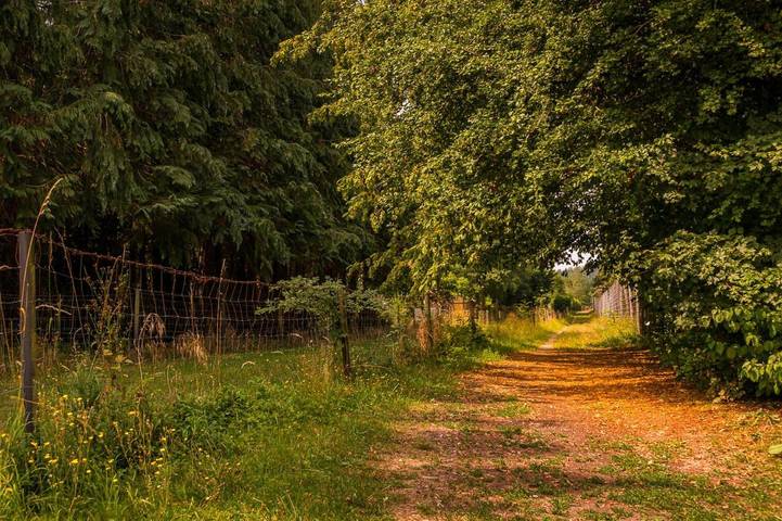 Location de vacances pour 6 personnes, avec jacuzzi ainsi que piscine et jardin à Andenne - 4