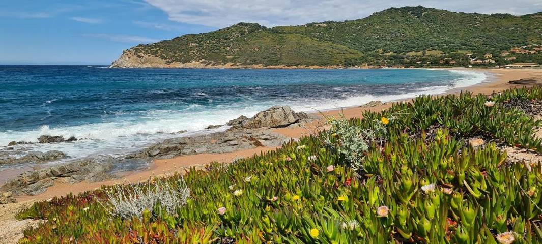 Gîte pour 5 personnes, avec vue ainsi que jardin et piscine à Villanova - 4