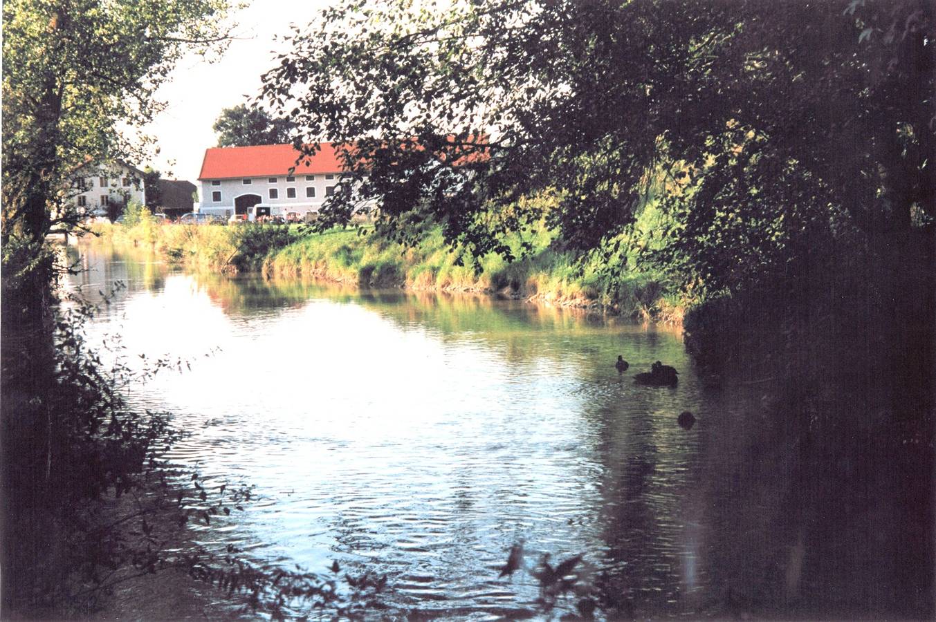 Pension Poschmühle - Doppelzimmer mit Bad/Dusche in Traunreut, Landkreis Traunstein