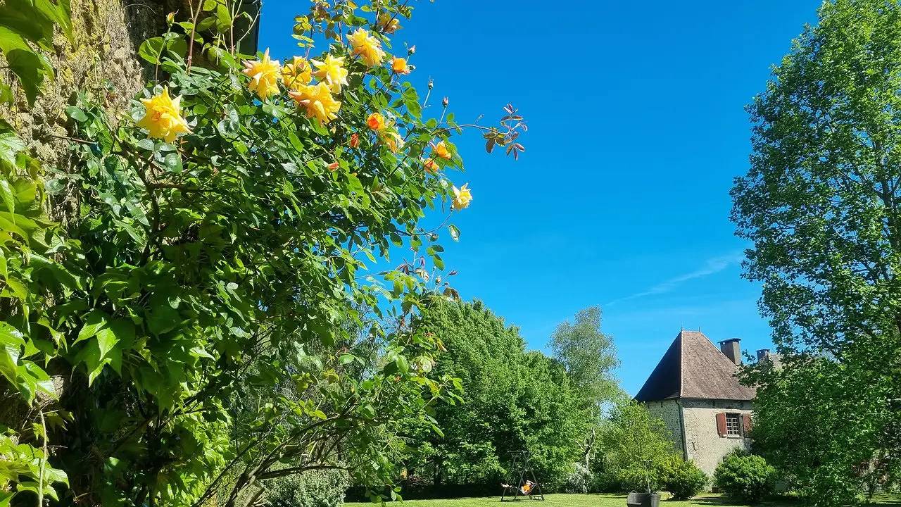 Appartement de vacances entier, Appartement de vacances pour 3 personnes avec terrasse in Busserolles, Parc naturel régional Périgord-Limousin