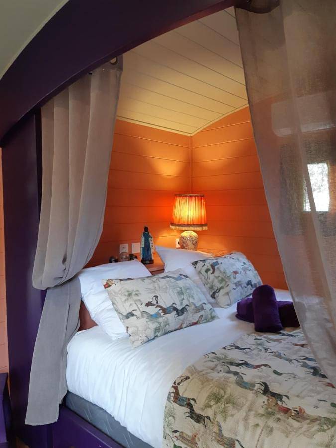 Maison d’hôte pour 3 personnes, avec piscine et vue ainsi que jardin et terrasse à Saint-Rémy-de-Provence - 3