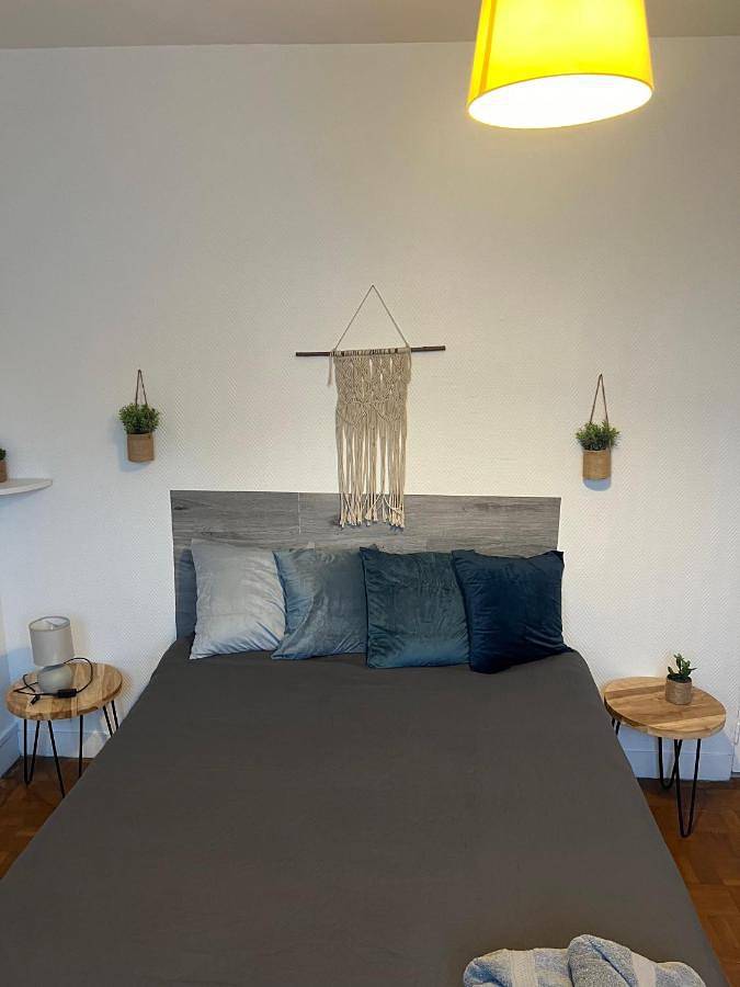 Hôtel pour 7 personnes, avec terrasse et jardin, animaux acceptés à Orléans