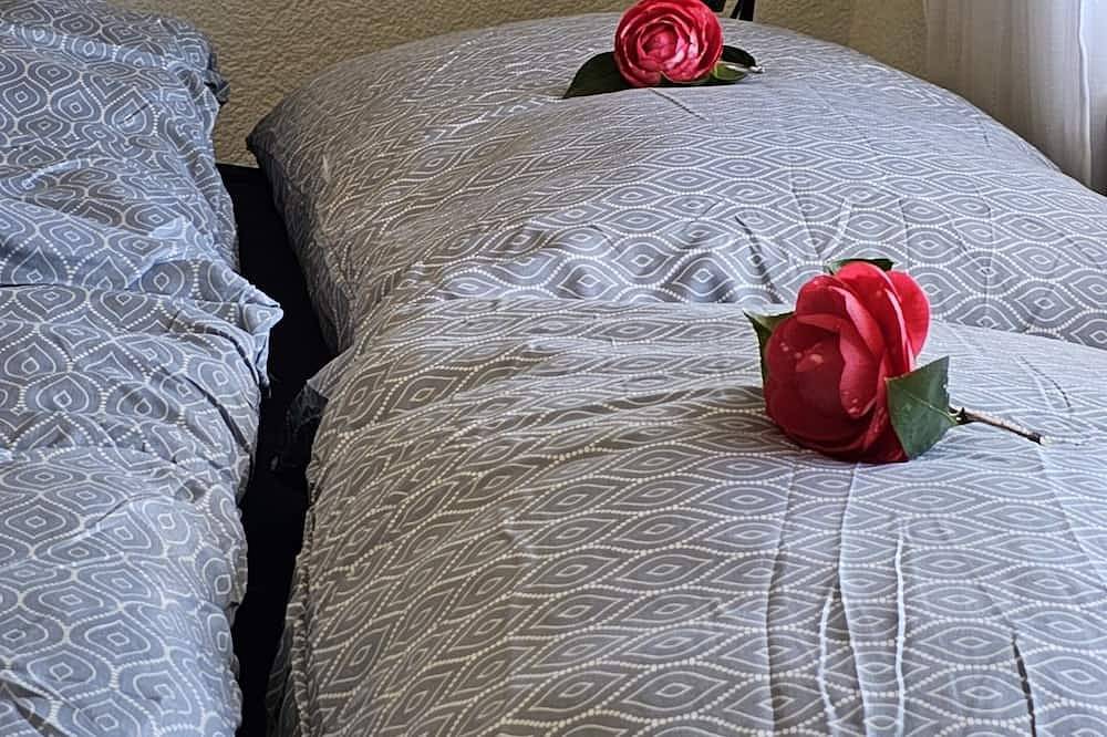 Ganze Wohnung, Zentral und ruhig am See in Brissago, Tessiner Alpen