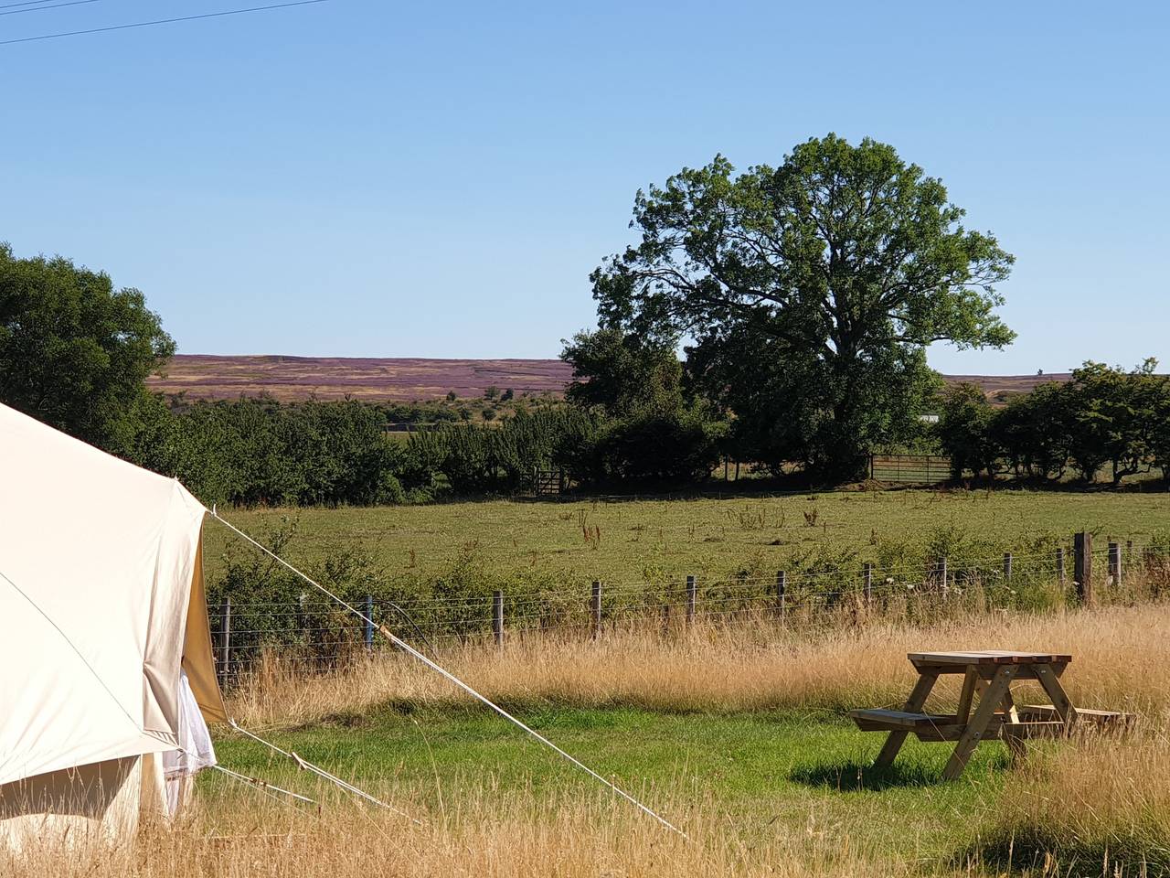 6 Guests - Bell Tent - Wood Stove - Parking in North York Moors National Park