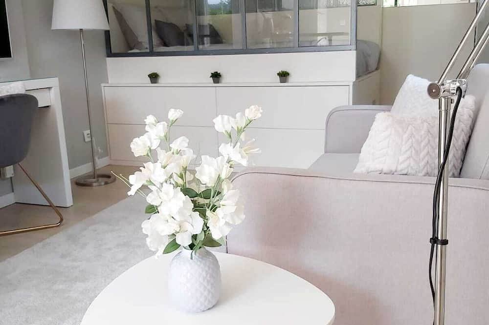 Geheel appartement, Very charming studio in Lyon on a \"Cosy & Romantic\" courtyard in Lyon, Rhône
