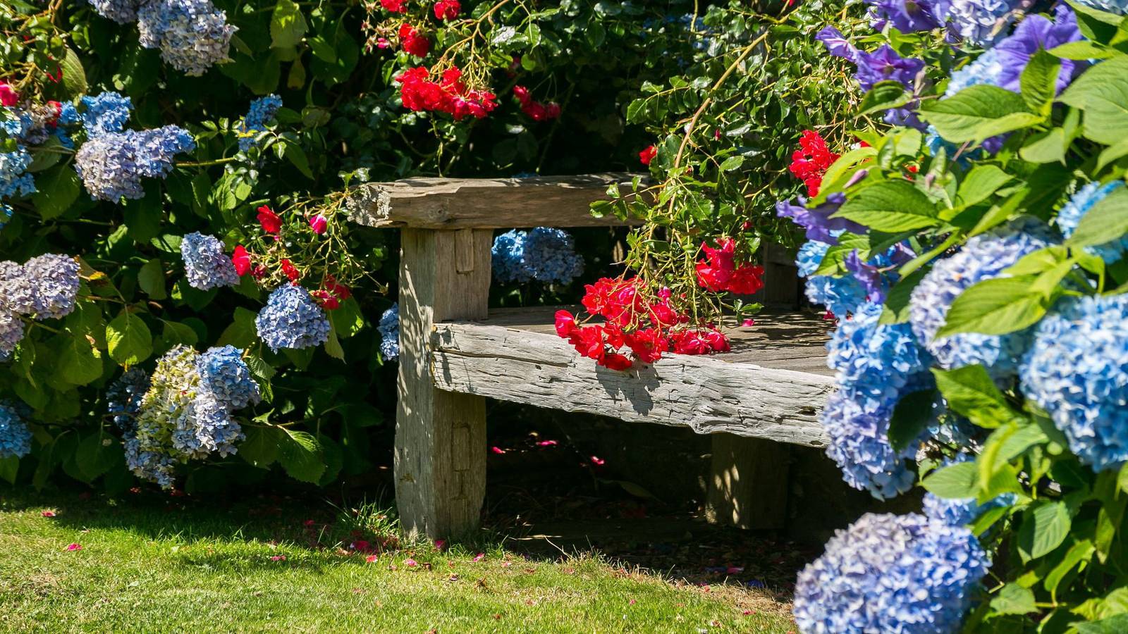 Cottage für 7 Personen mit Garten in Nefyn, Gwynedd