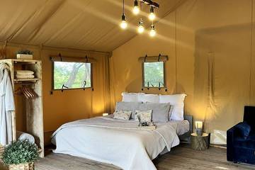 Glamping for 4 People in Elmbridge (Worcestershire), Worcestershire, Photo 1