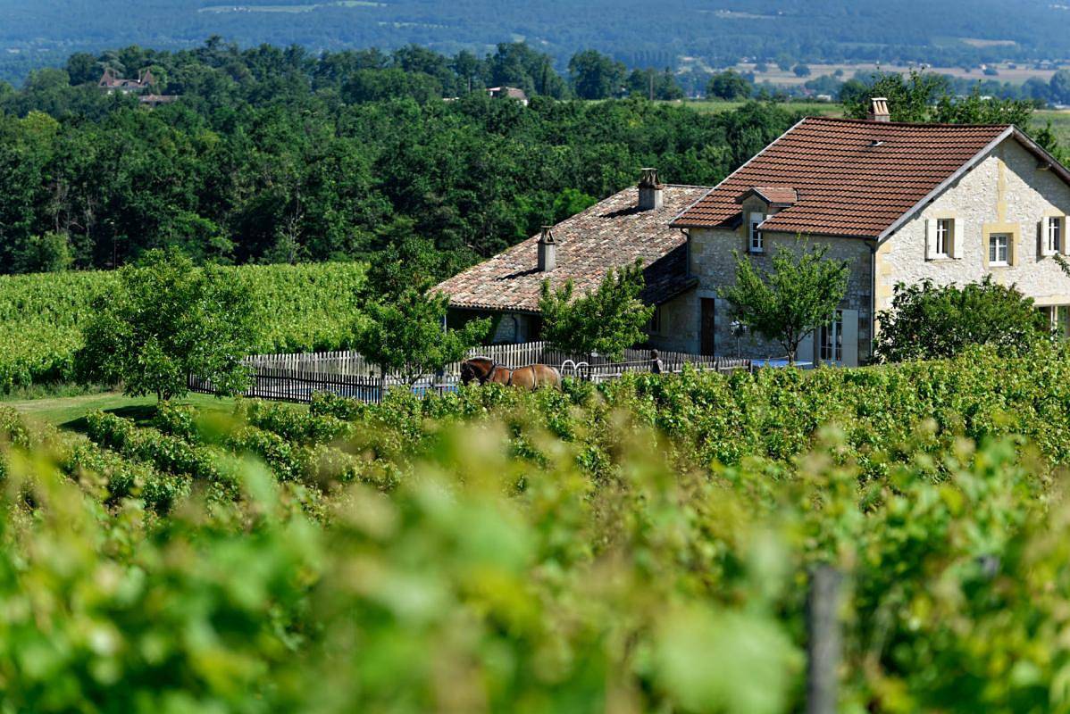 Les Miaudoux in Saussignac, Périgord Pourpre