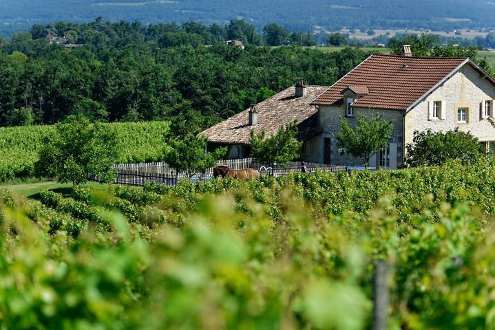 Les Miaudoux in Saussignac, Périgord Pourpre
