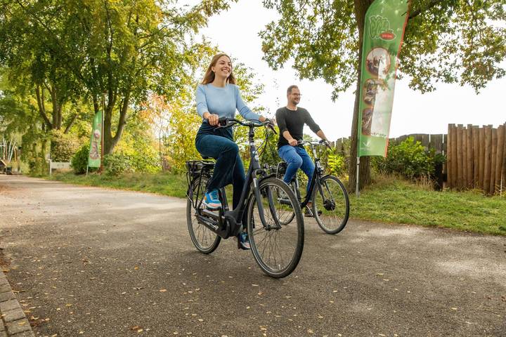 Lodge voor 4 personen, met Tuin in Limburg