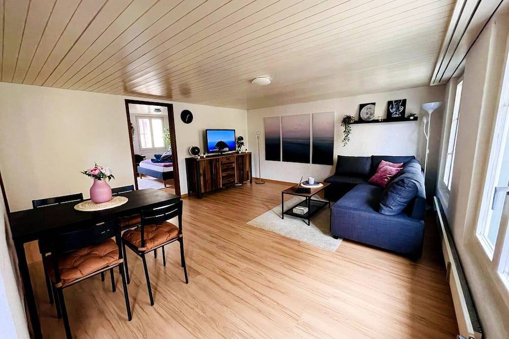 Ganze Wohnung, Gemütliche Altbauwohnung im Zentrum in St. Gallen, Bodensee (Schweiz)