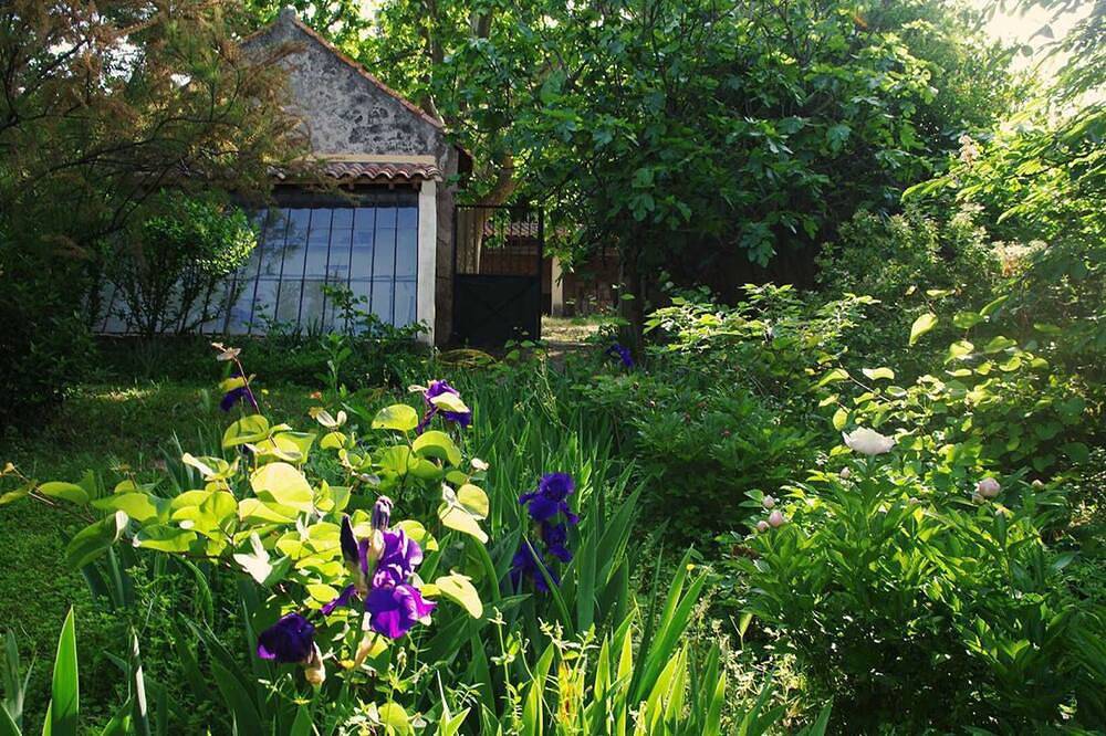 La Glycine - Poussan in Poussan, Côte d'Améthyste