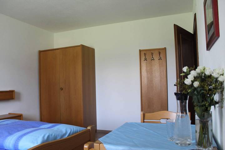 Ganze Ferienwohnung, Apartment Nr. 1 mit Dusche, Wc und Balkon in Abtenau, Tennengau
