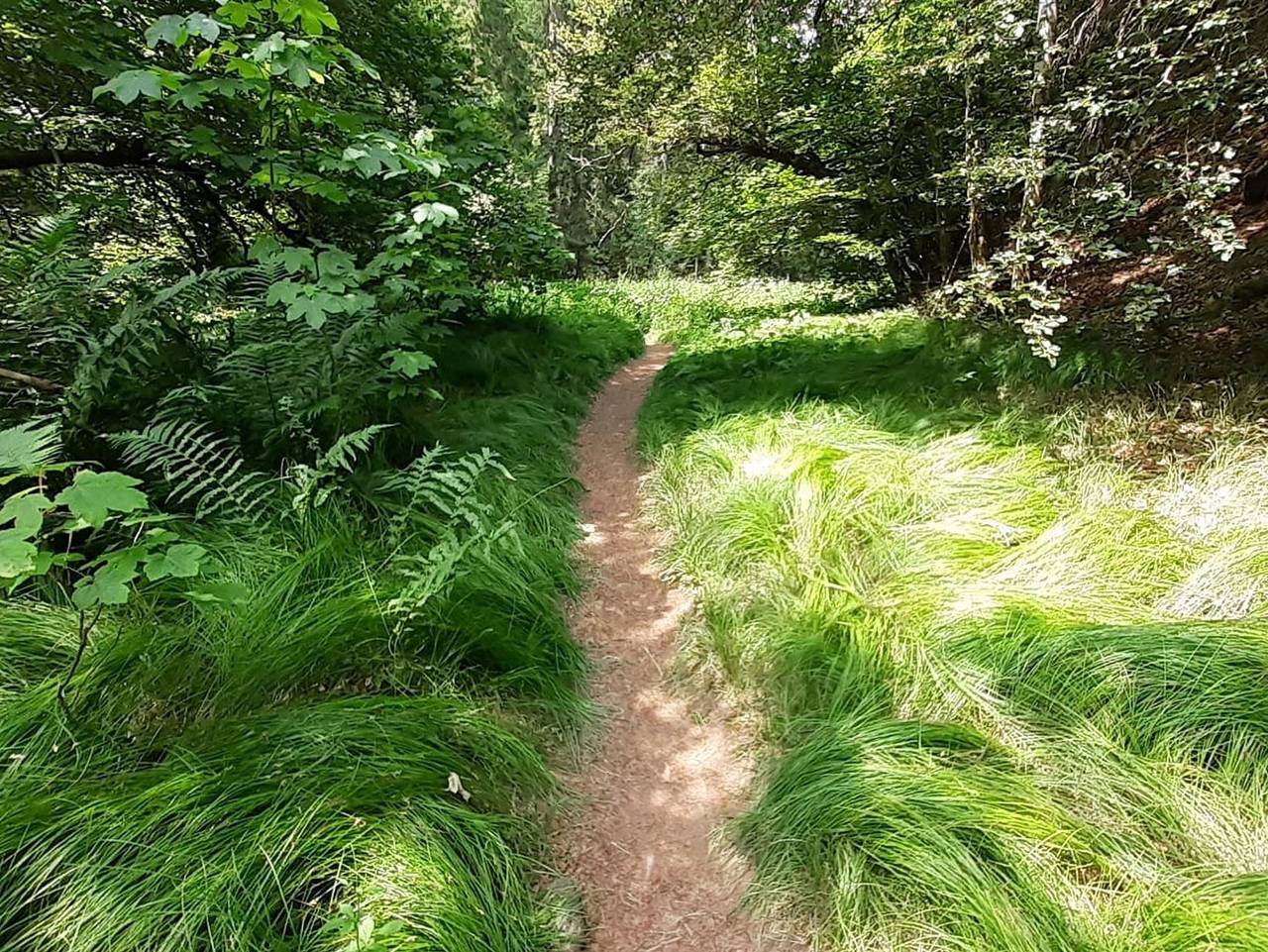 Ganze Ferienwohnung, Landhaus Alpenpanorama - Ferienwohnung Familienglück in Göschweiler, Löffingen