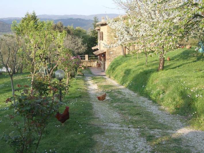 Rustico per 4 persone, con Terrazza e Giardino nonché Piscina e Panorama a Orvieto