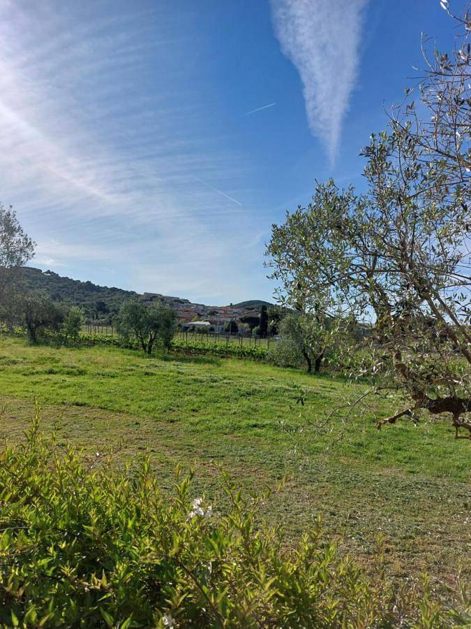 Location de vacances pour 2 personnes, avec jardin et vue à Piombino - 4